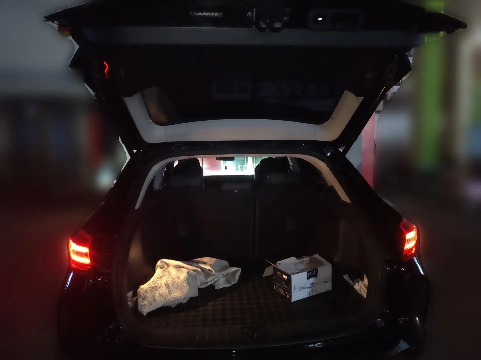 WM Motor EX5 2020 EX5-Z Nex Exploration Edition — миниатюра 20