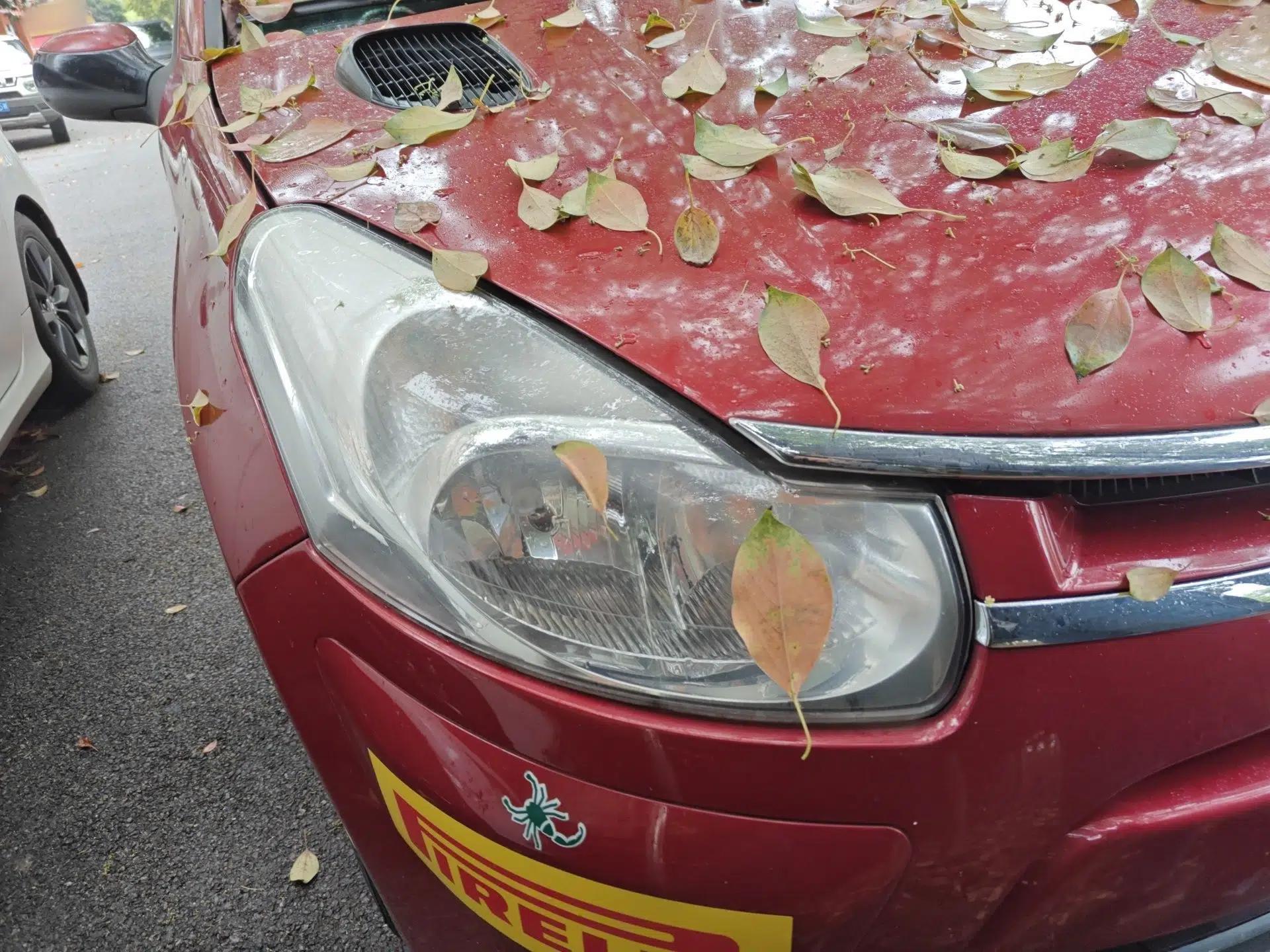 Citroen C2 2010 1.4L Manual Comfort Edition — миниатюра 7