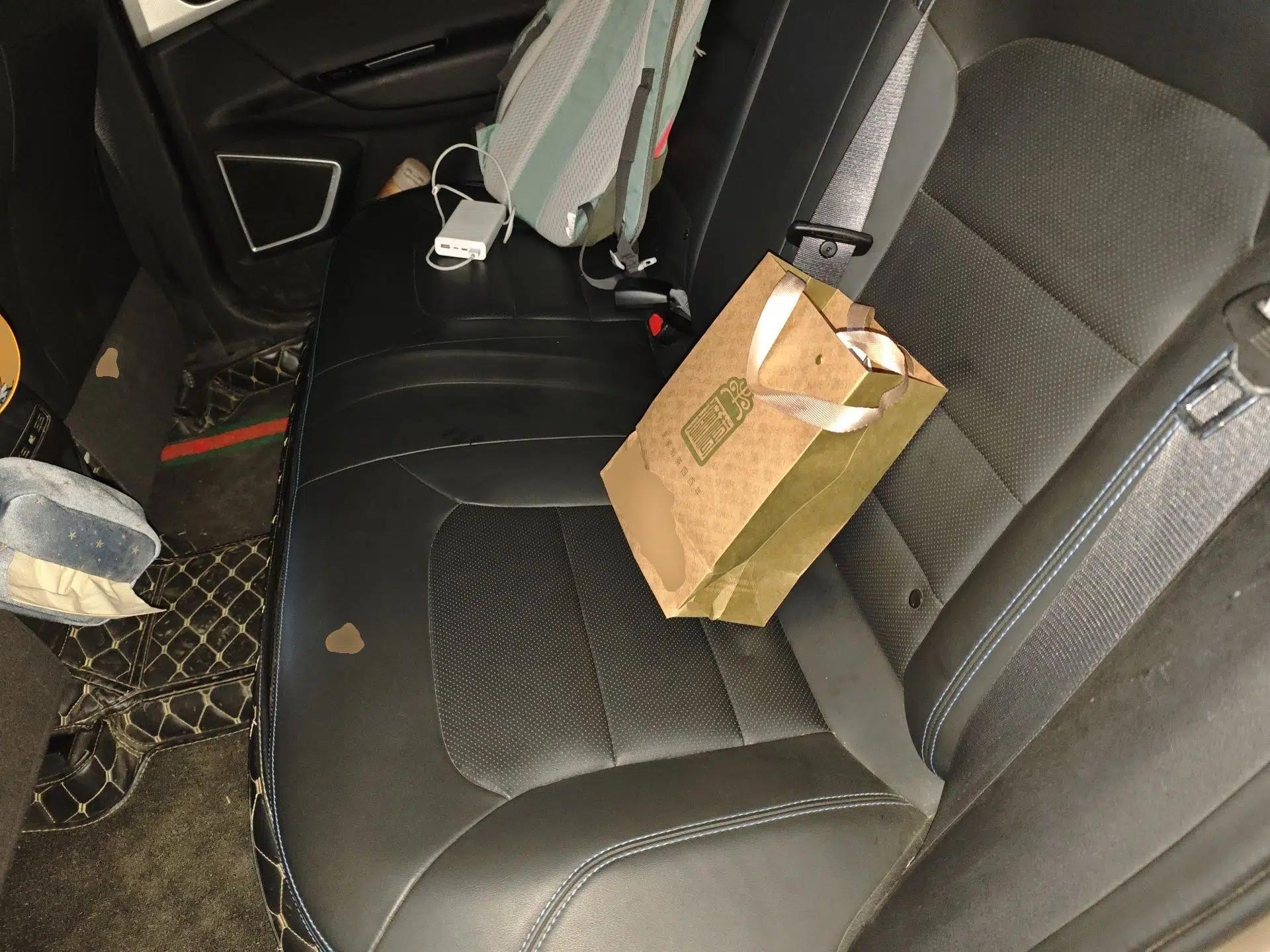 Geely Auto Emgrand GSe 2020 500 LingShang Model — миниатюра 18