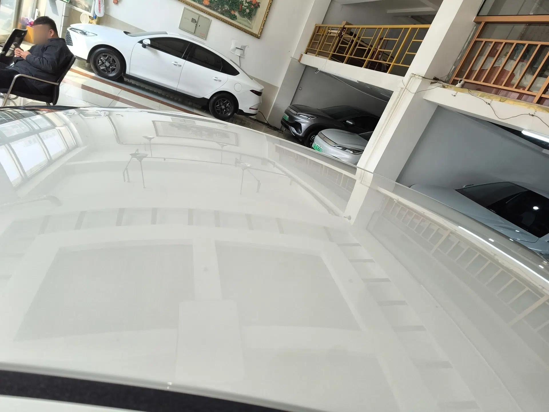 Venucia D60EV 2022 Standard Range Smart Drive Version — миниатюра 11