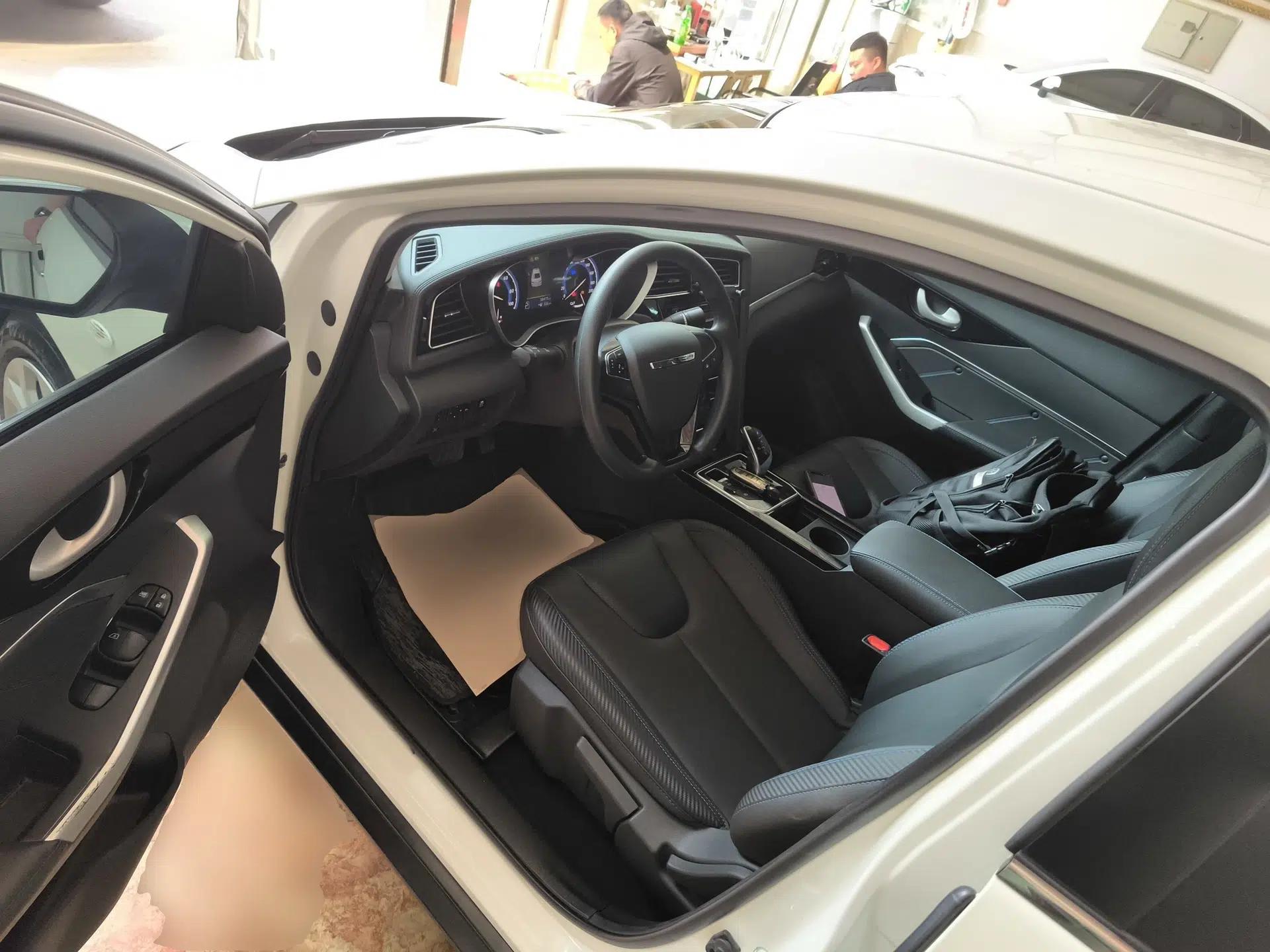 Venucia D60EV 2022 Standard Range Smart Drive Version — миниатюра 19