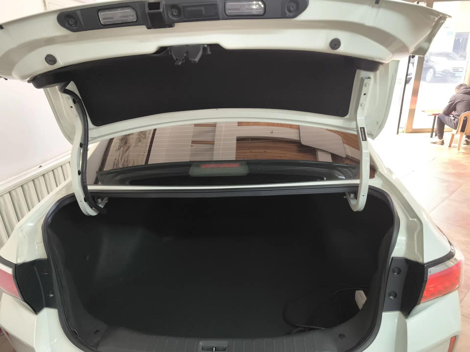 Venucia D60EV 2022 Standard Range Smart Drive Version — миниатюра 22