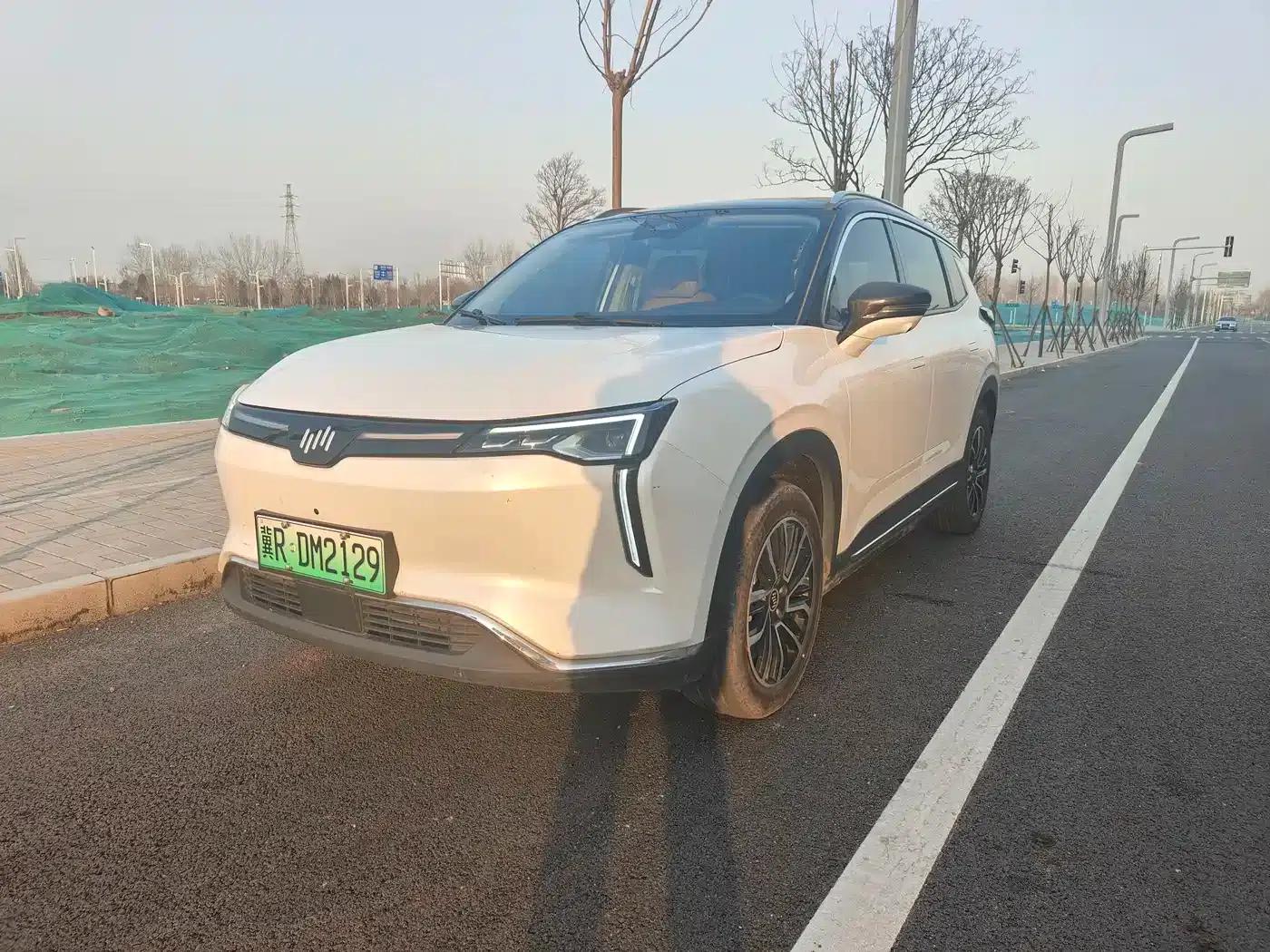 Weltmeister W6 2021 520km ACE Intelligent Edition — миниатюра 1