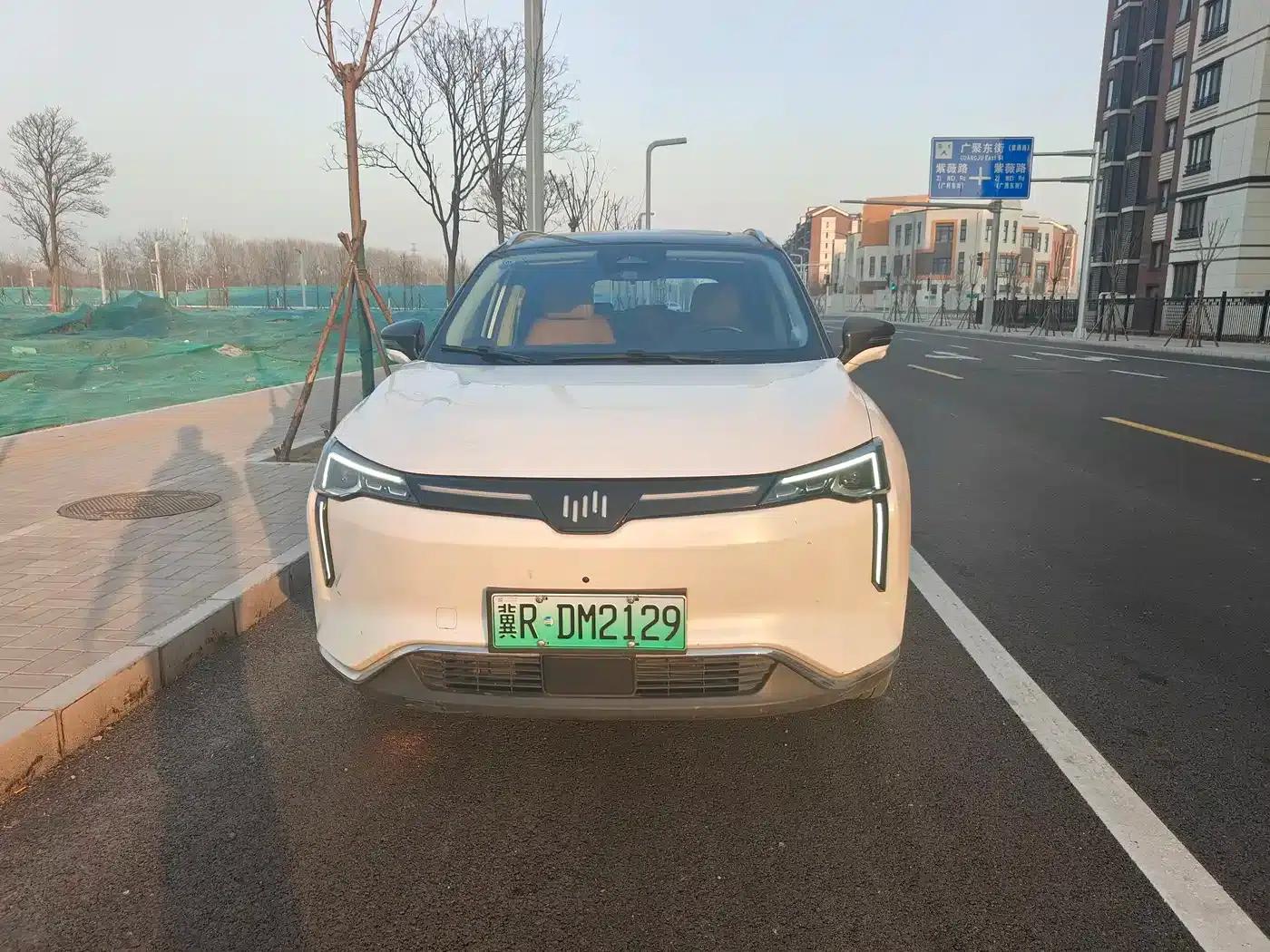Weltmeister W6 2021 520km ACE Intelligent Edition — миниатюра 2