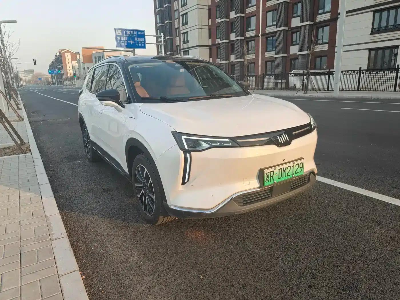 Weltmeister W6 2021 520km ACE Intelligent Edition — миниатюра 3