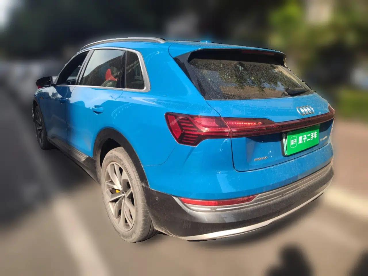 Audi e-tron 2019 55 quattro Global Limited Edition Edition 1 — миниатюра 4