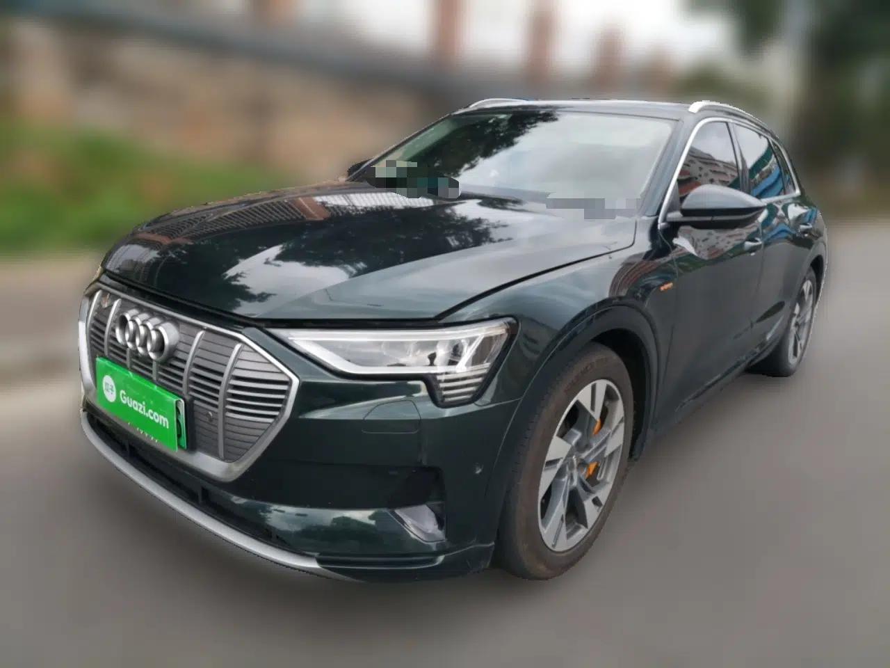 Audi e-tron 2019 55 quattro Technology Edition — миниатюра 1