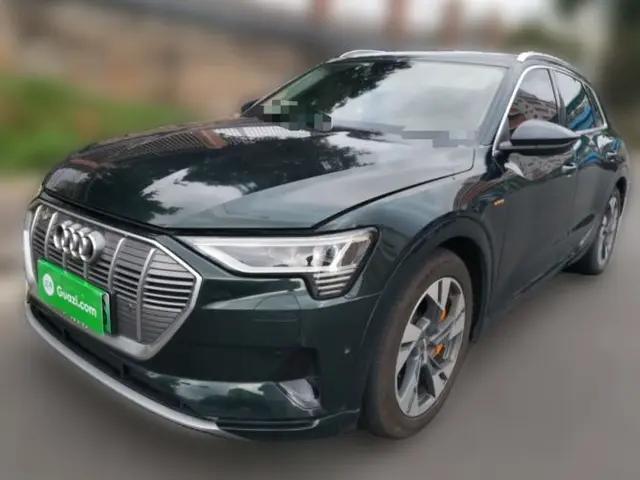 Audi e-tron 2019 55 quattro Technology Edition