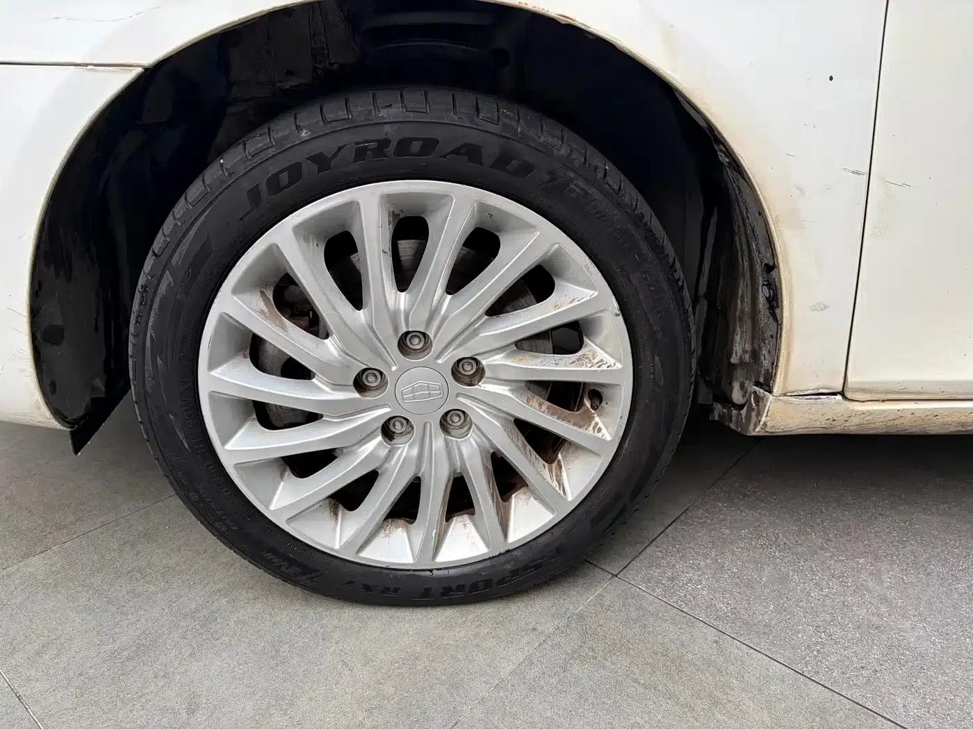 Geely Emgrand EV300 Progressive (2017 Model) — миниатюра 4