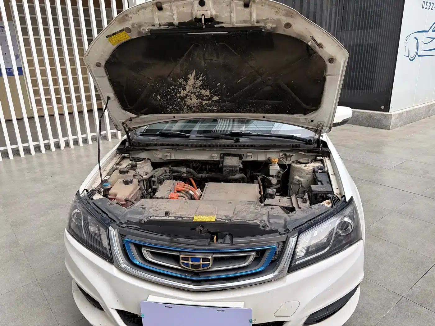 Geely Emgrand EV300 Progressive (2017 Model) — миниатюра 6