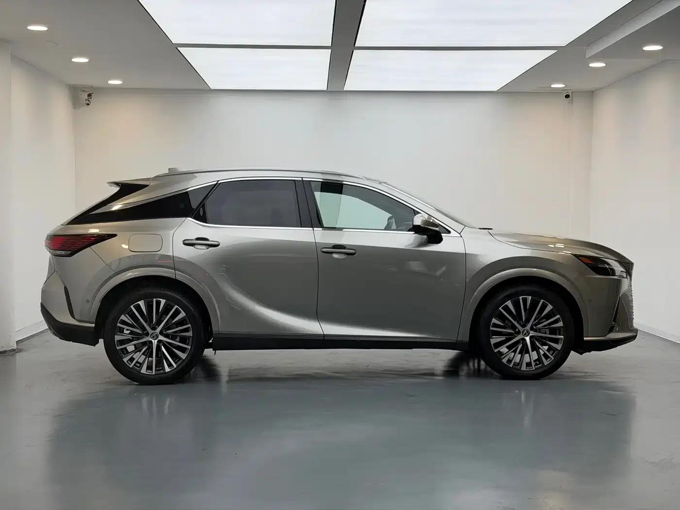 Lexus RX Hybrid 2023 450h+ AWD Enjoy Edition — миниатюра 4