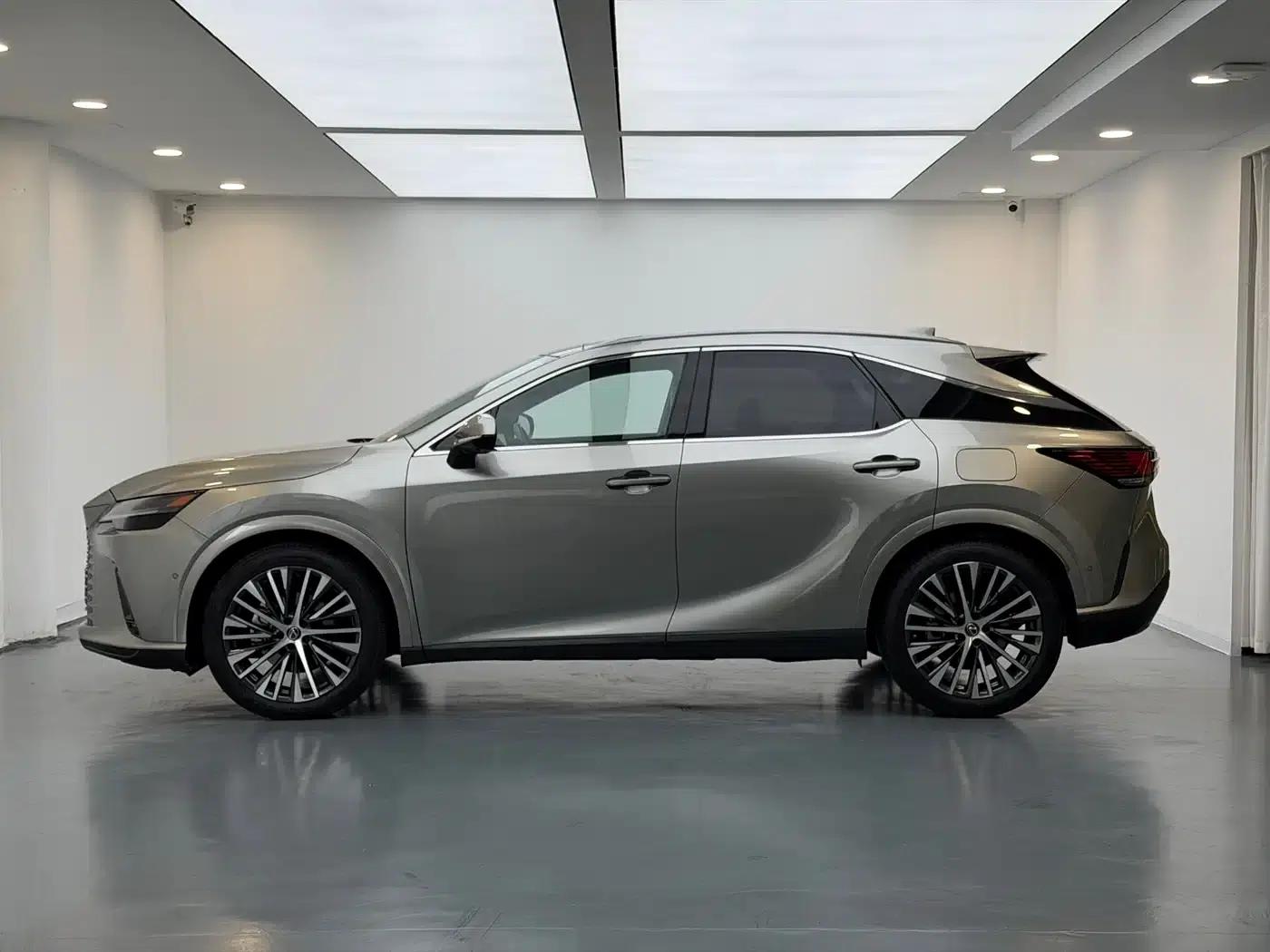 Lexus RX Hybrid 2023 450h+ AWD Enjoy Edition — миниатюра 9