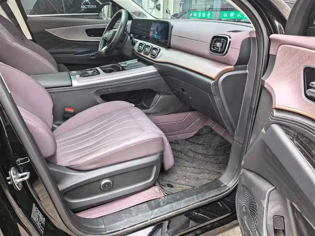 Fengyun T10 2024 Model 210 Luxury Edition — миниатюра 13