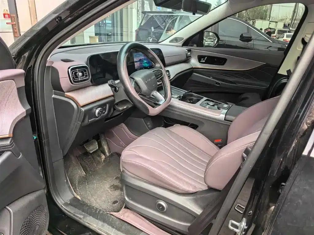 Fengyun T10 2024 Model 210 Luxury Edition — миниатюра 7