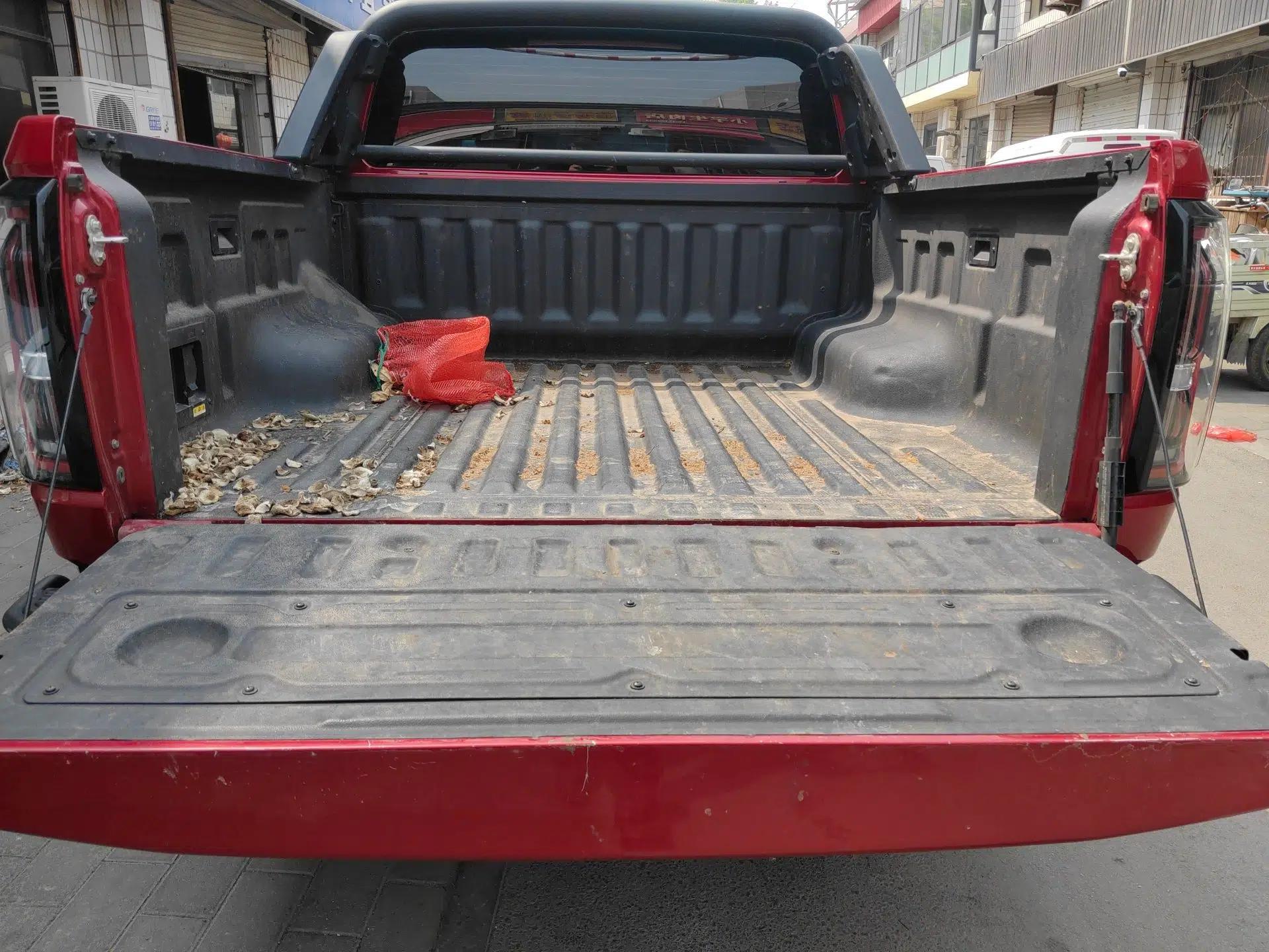 JMC DaDao 2023 Fly-Jiang 2.3T Diesel Automatic 4x4 Boundaryless Model — миниатюра 20