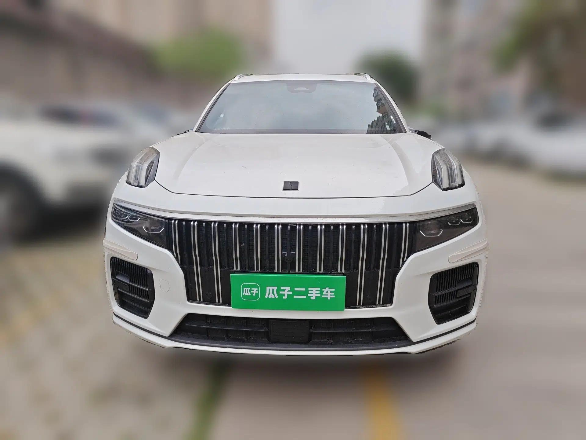 Lynk & Co 09 2024 2.0T Four-Wheel Drive Sport Edition Five Seats — миниатюра 2