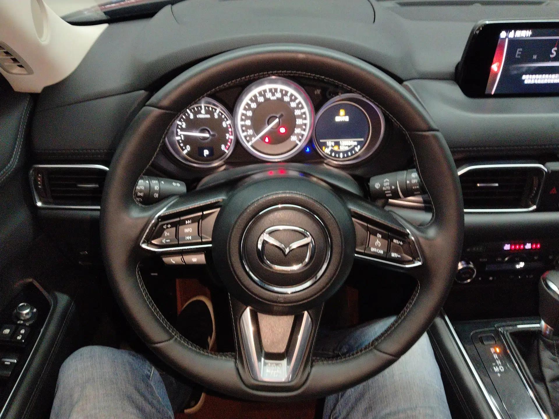 Mazda CX-8 2019 2.5L Two-Wheel Drive Prestige Version — миниатюра 13