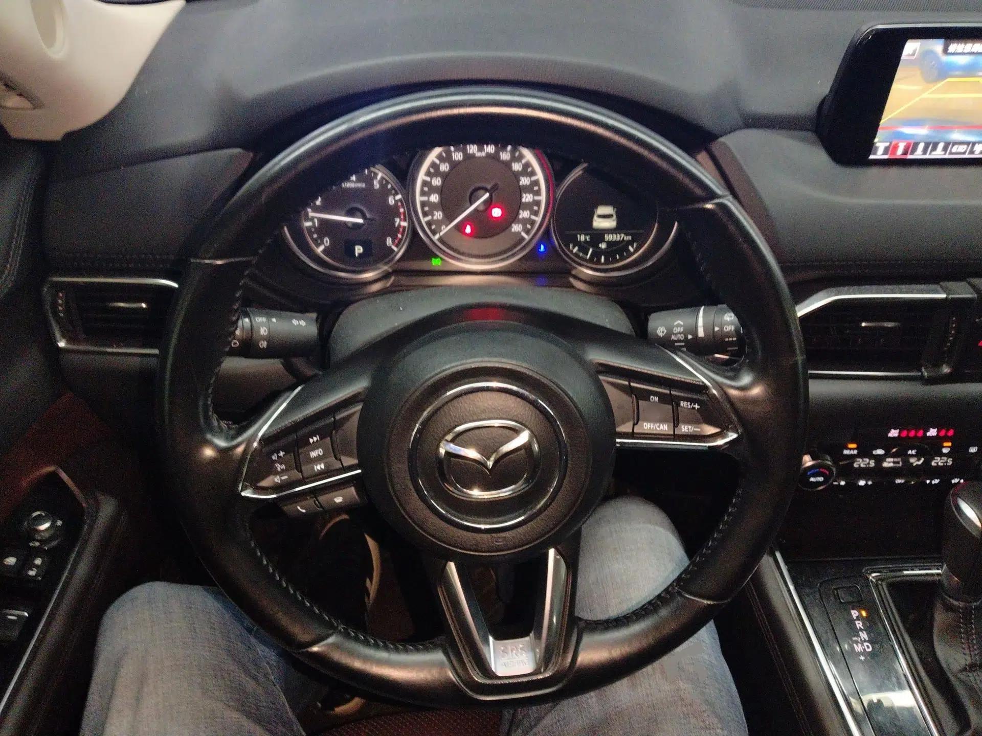 Mazda CX-8 2019 2.5L Two-Wheel Drive Luxury Version — миниатюра 14