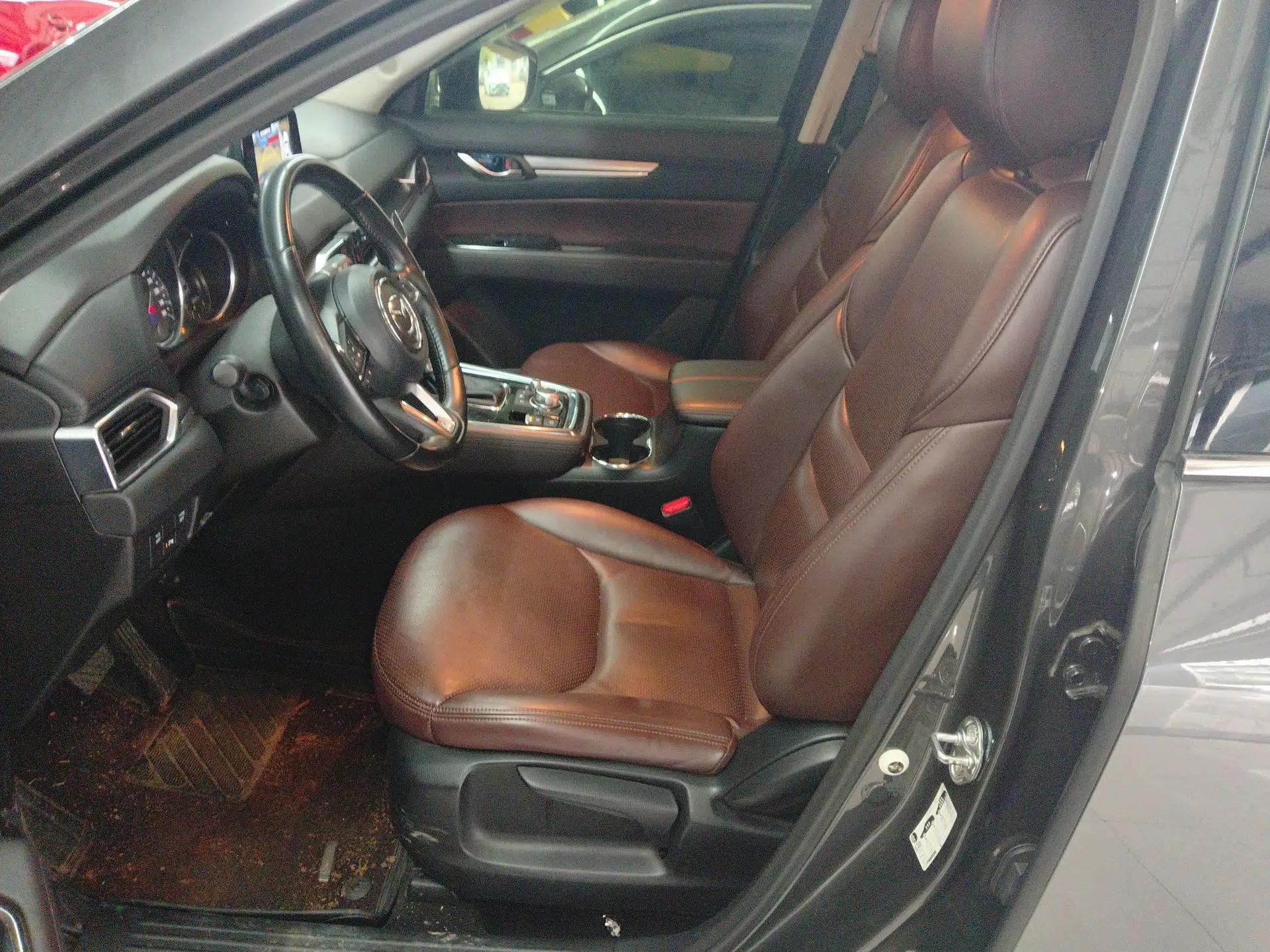Mazda CX-8 2019 2.5L Two-Wheel Drive Luxury Version — миниатюра 18
