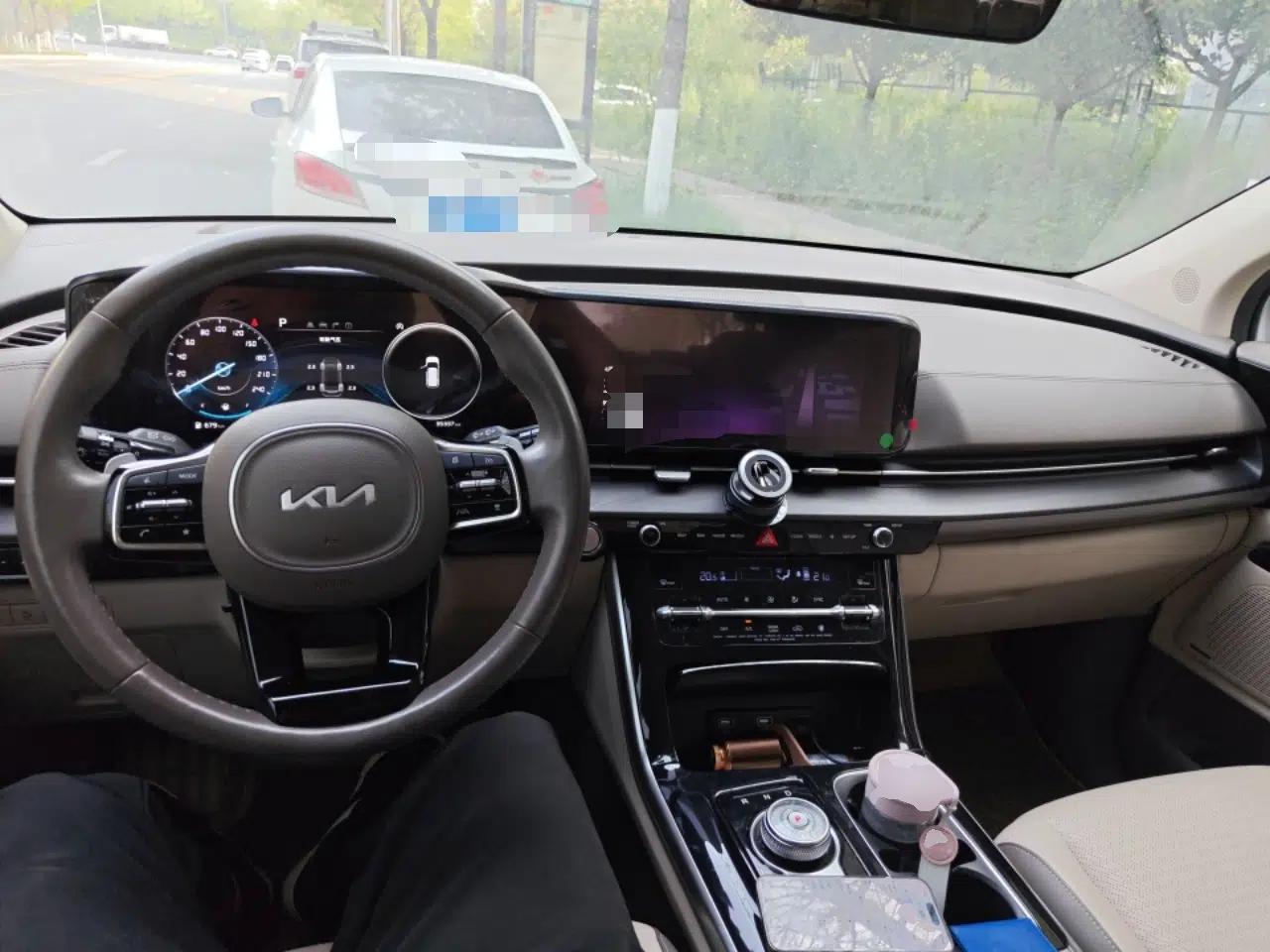 Kia Carnival 2021 2.0T Flagship Edition — миниатюра 10