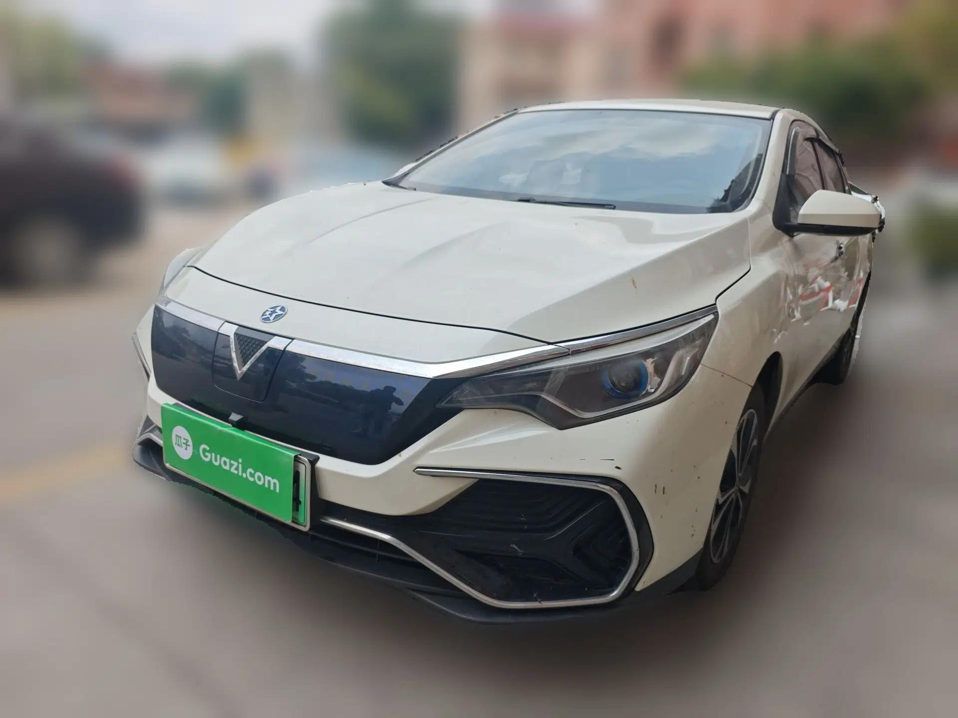 Venucia D60EV 2020 Standard Range T3 — миниатюра 1