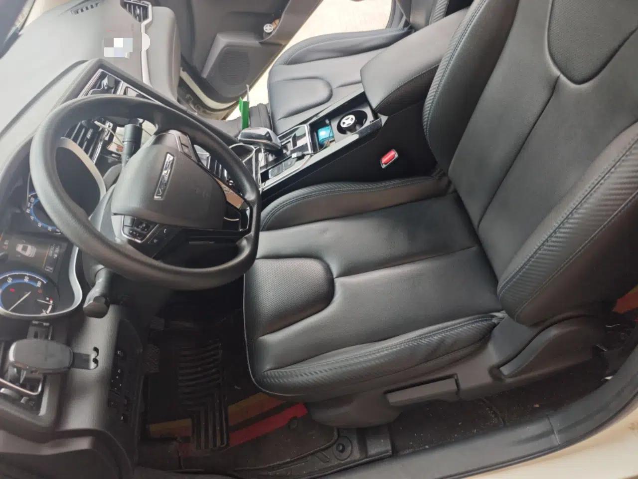 Venucia D60EV 2020 Standard Range T3 — миниатюра 16