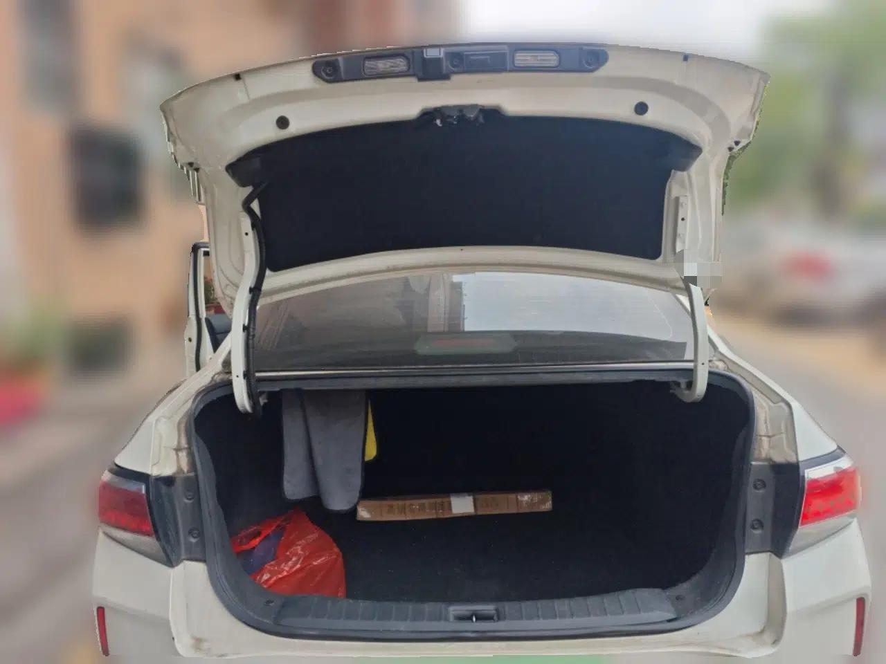 Venucia D60EV 2020 Standard Range T3 — миниатюра 20