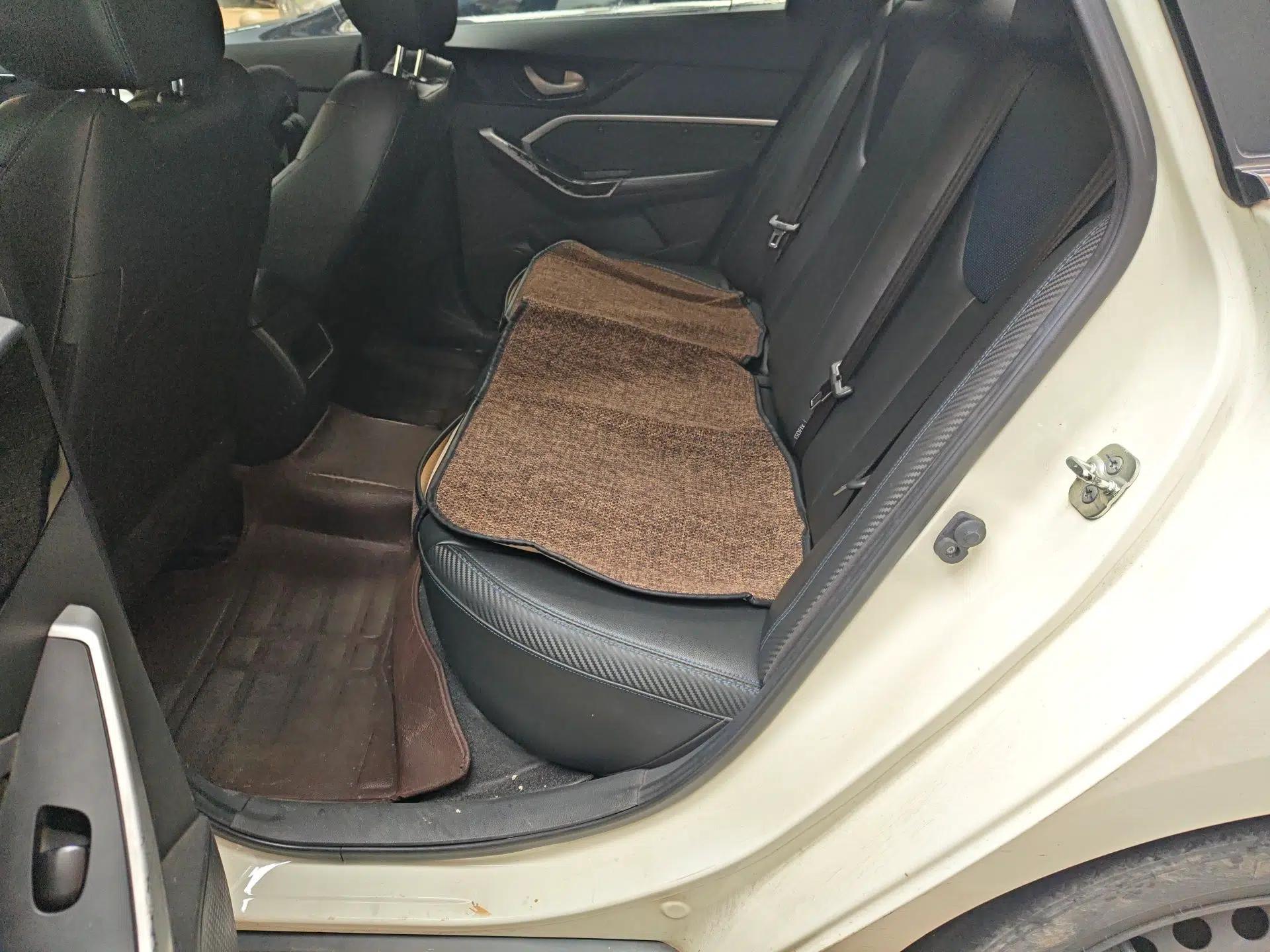 Venucia D60EV 2020 Standard Range Smart Drive Edition — миниатюра 18