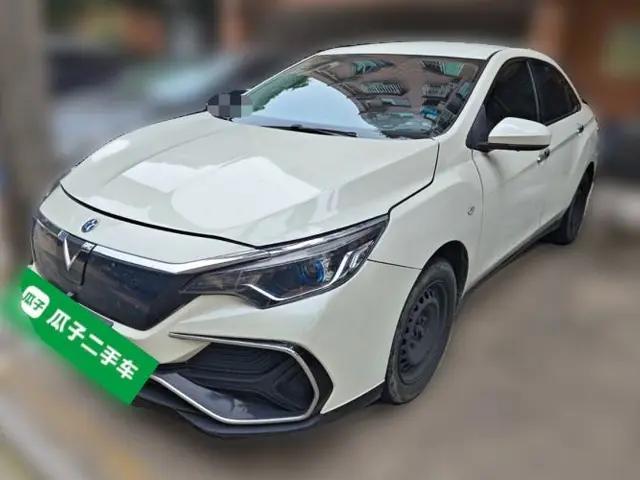 Venucia D60EV 2020 Standard Range Smart Drive Edition