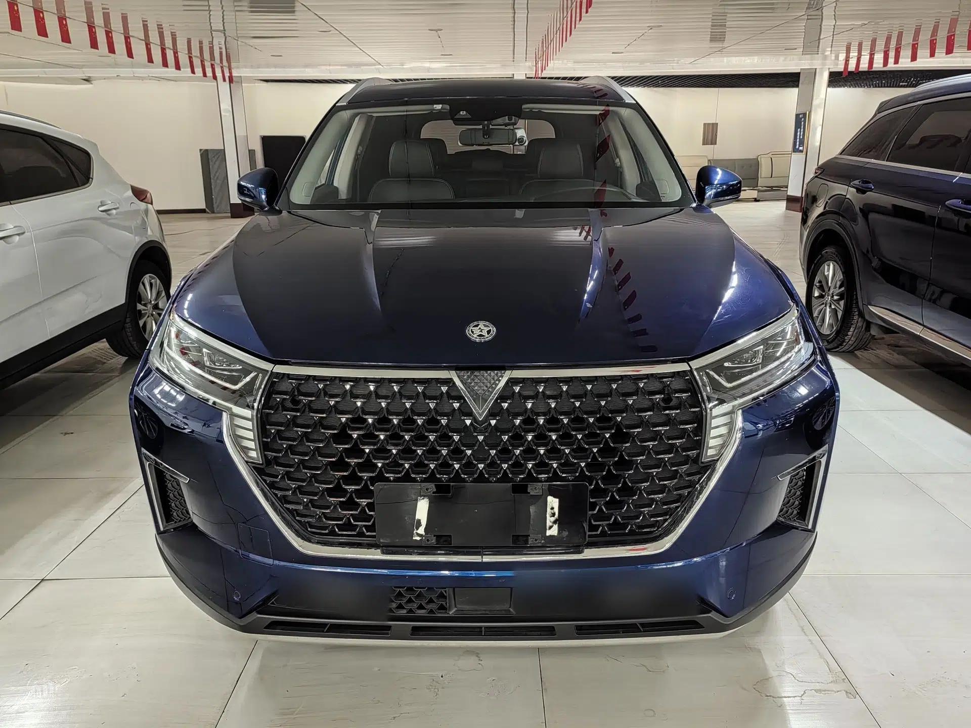 Venucia Star 2020 260T Automatic 48V Mild Hybrid Turbocharged Star Edition — миниатюра 2