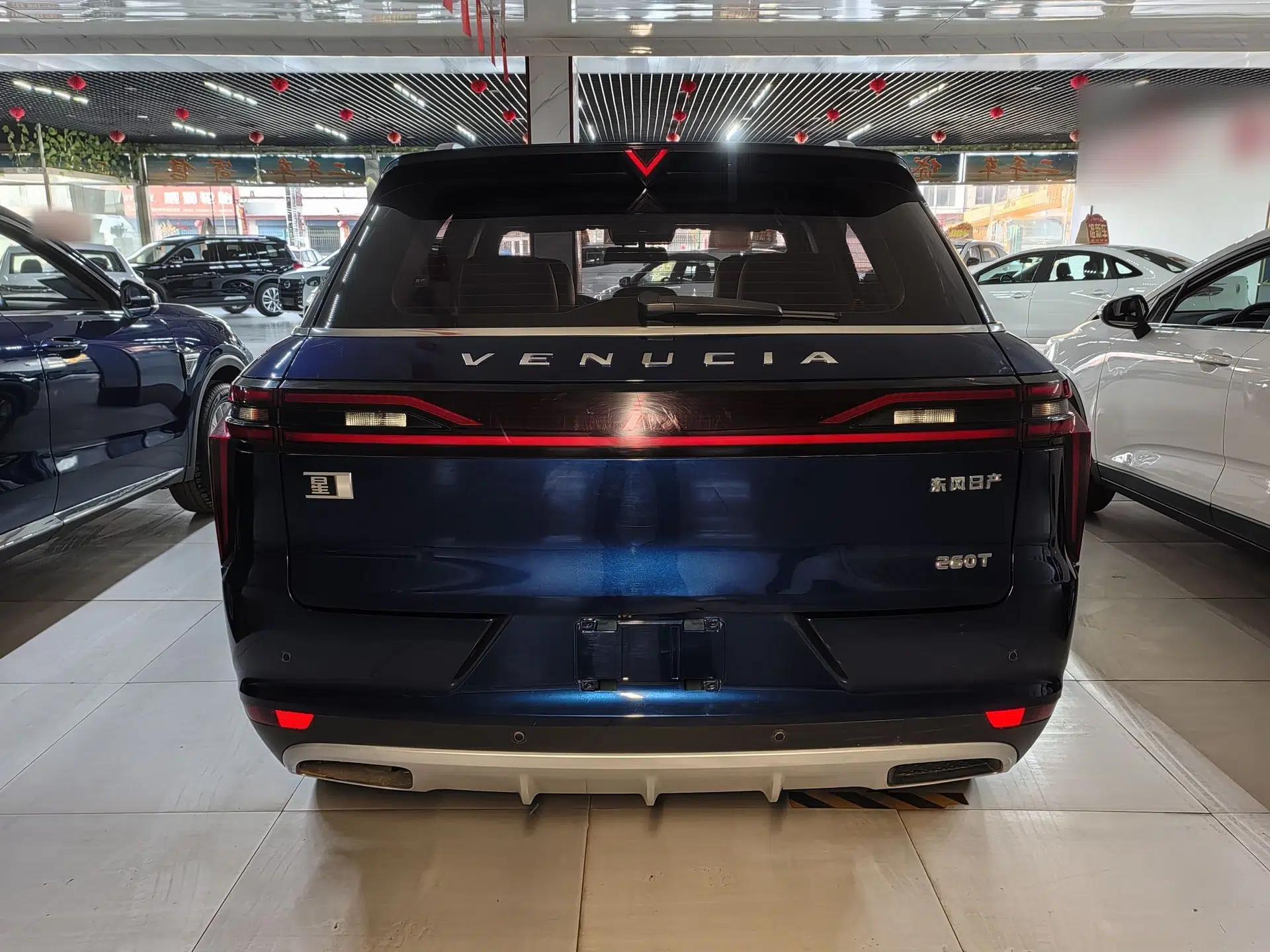 Venucia Star 2020 260T Automatic 48V Mild Hybrid Turbocharged Star Edition — миниатюра 5
