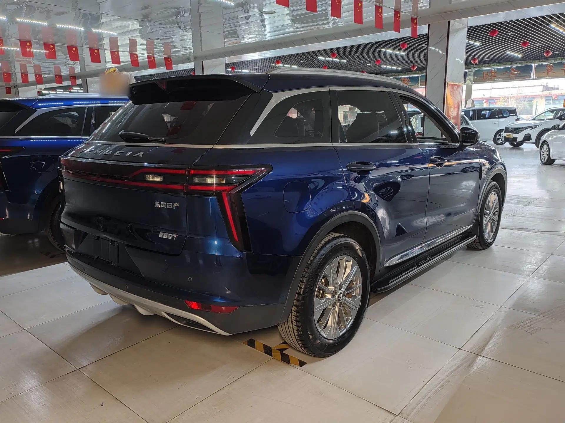 Venucia Star 2020 260T Automatic 48V Mild Hybrid Turbocharged Star Edition — миниатюра 6