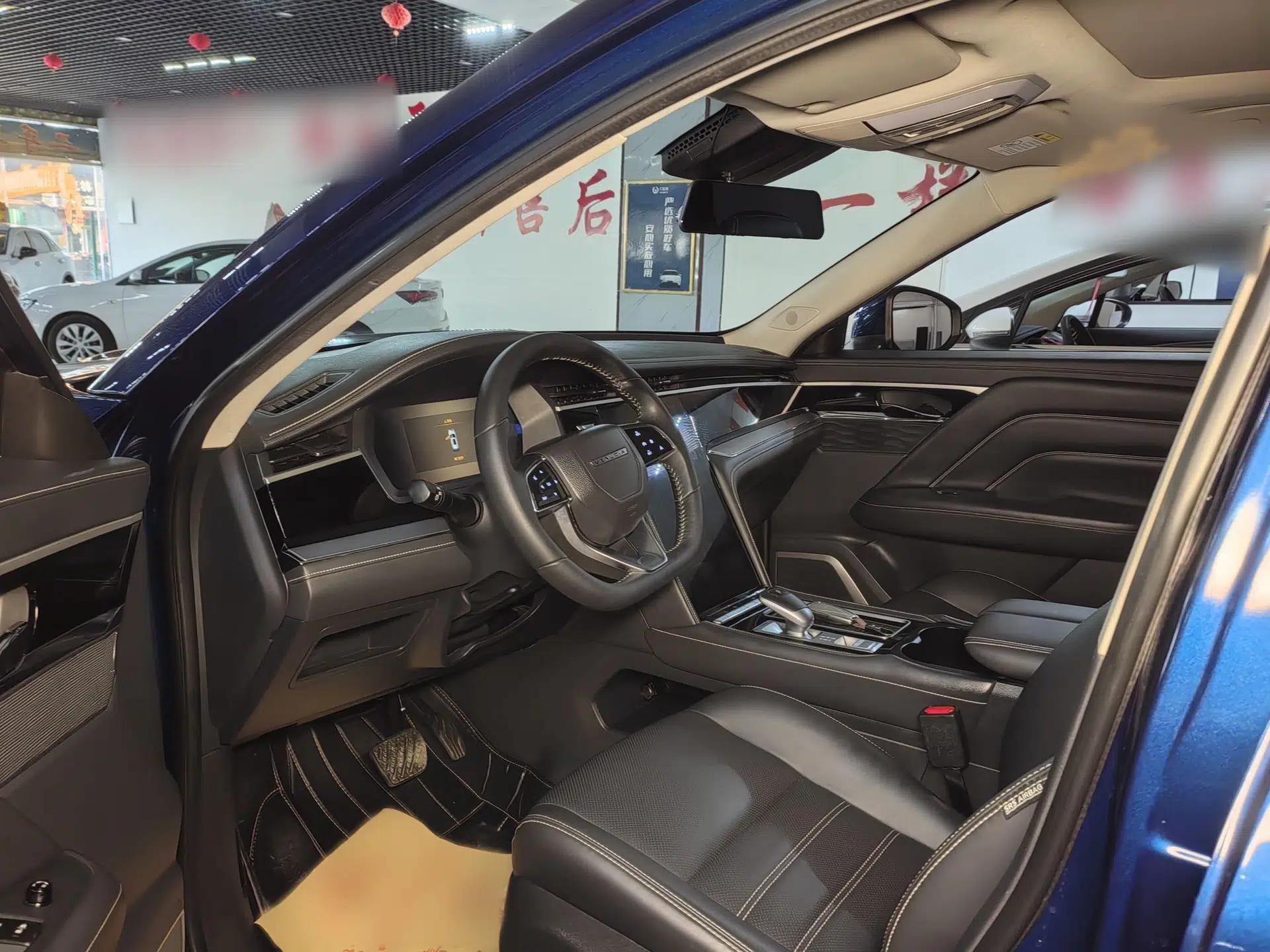Venucia Star 2020 260T Automatic 48V Mild Hybrid Turbocharged Star Edition — миниатюра 9