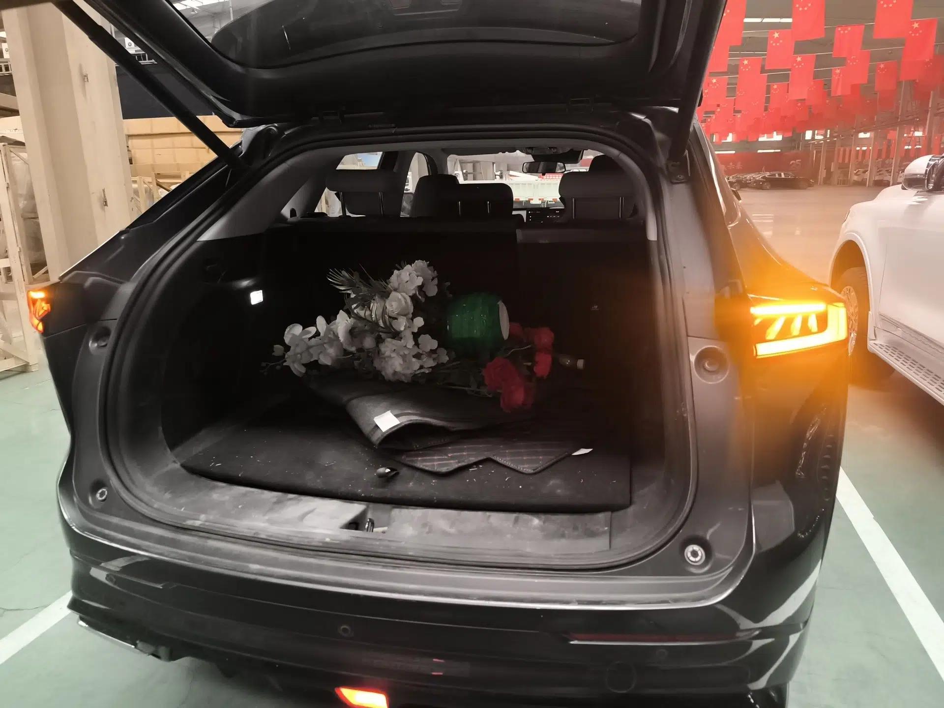 CHANGAN UNI-Z New Energy 2024 Blue Whale Smart Electric iDD 125km Beyond Edition — миниатюра 22
