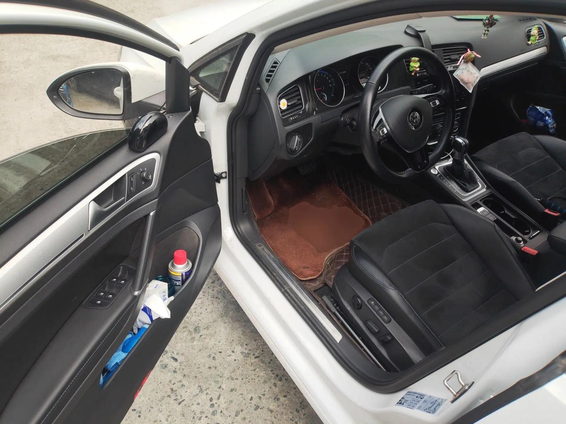 Volkswagen Golf Pure Electric 2020 Chariot Pro — миниатюра 17