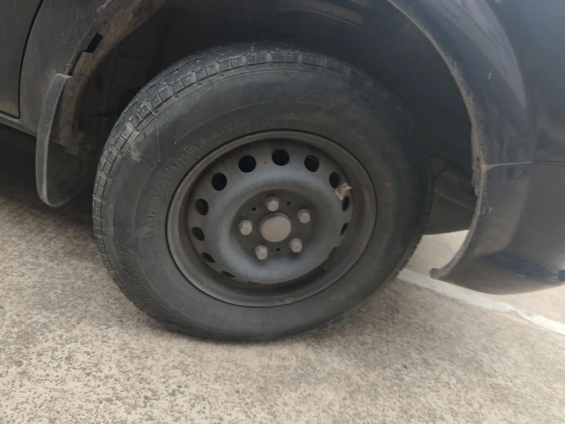 Dongfeng Yufeng  — миниатюра 8