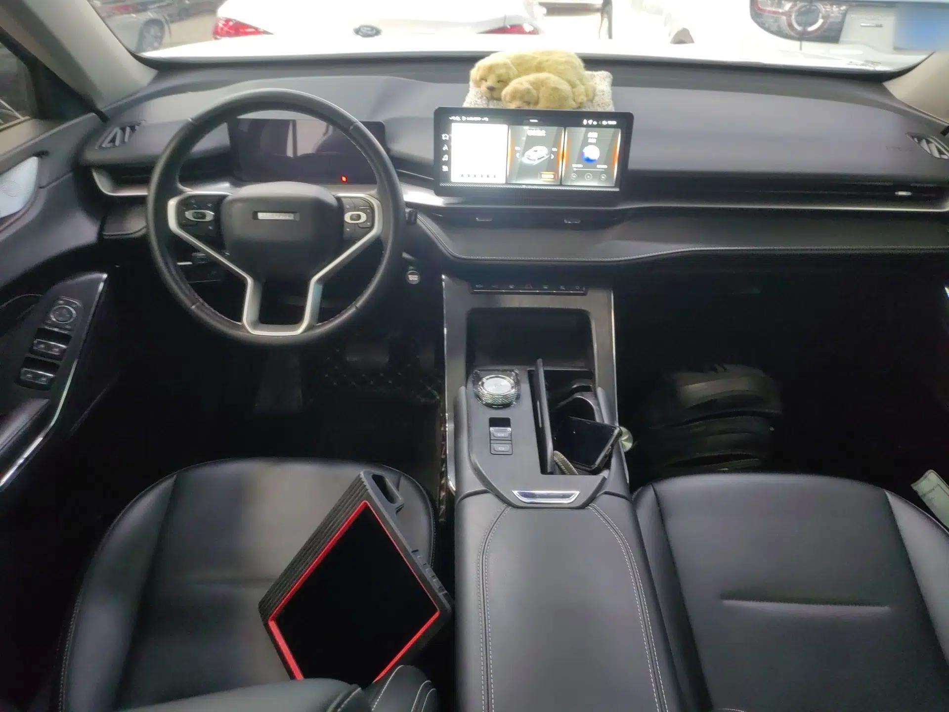 Haval H6 New Energy 2023 DHT-PHEV 55KM Enjoyment Edition — миниатюра 13