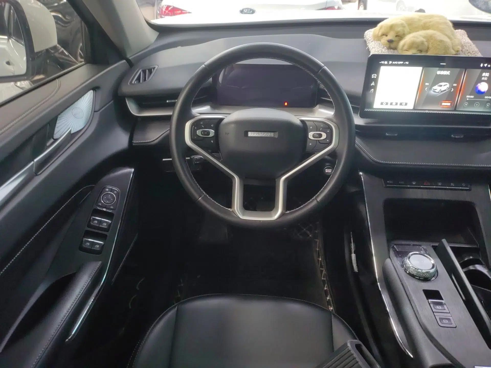 Haval H6 New Energy 2023 DHT-PHEV 55KM Enjoyment Edition — миниатюра 14