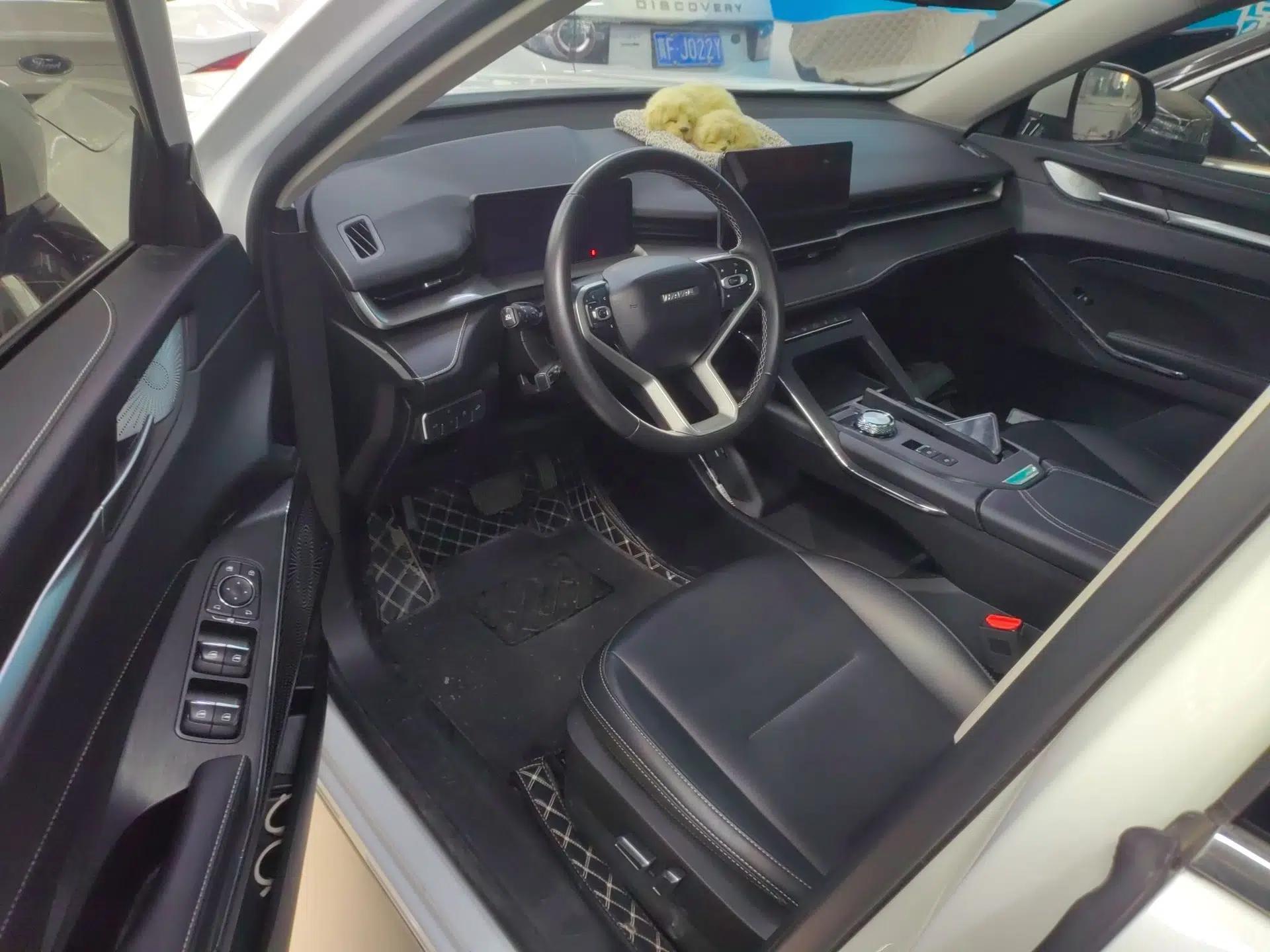Haval H6 New Energy 2023 DHT-PHEV 55KM Enjoyment Edition — миниатюра 19