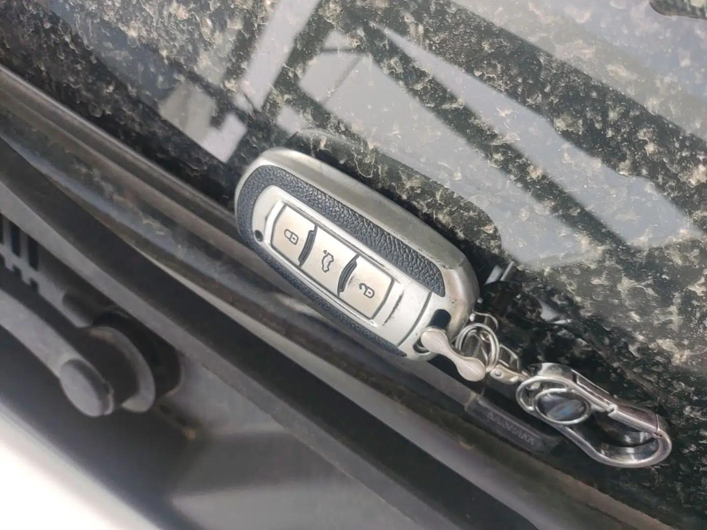 Geely Auto Emgrand New Energy 2021 EV Pro Ride-Hailing Edition — миниатюра 12