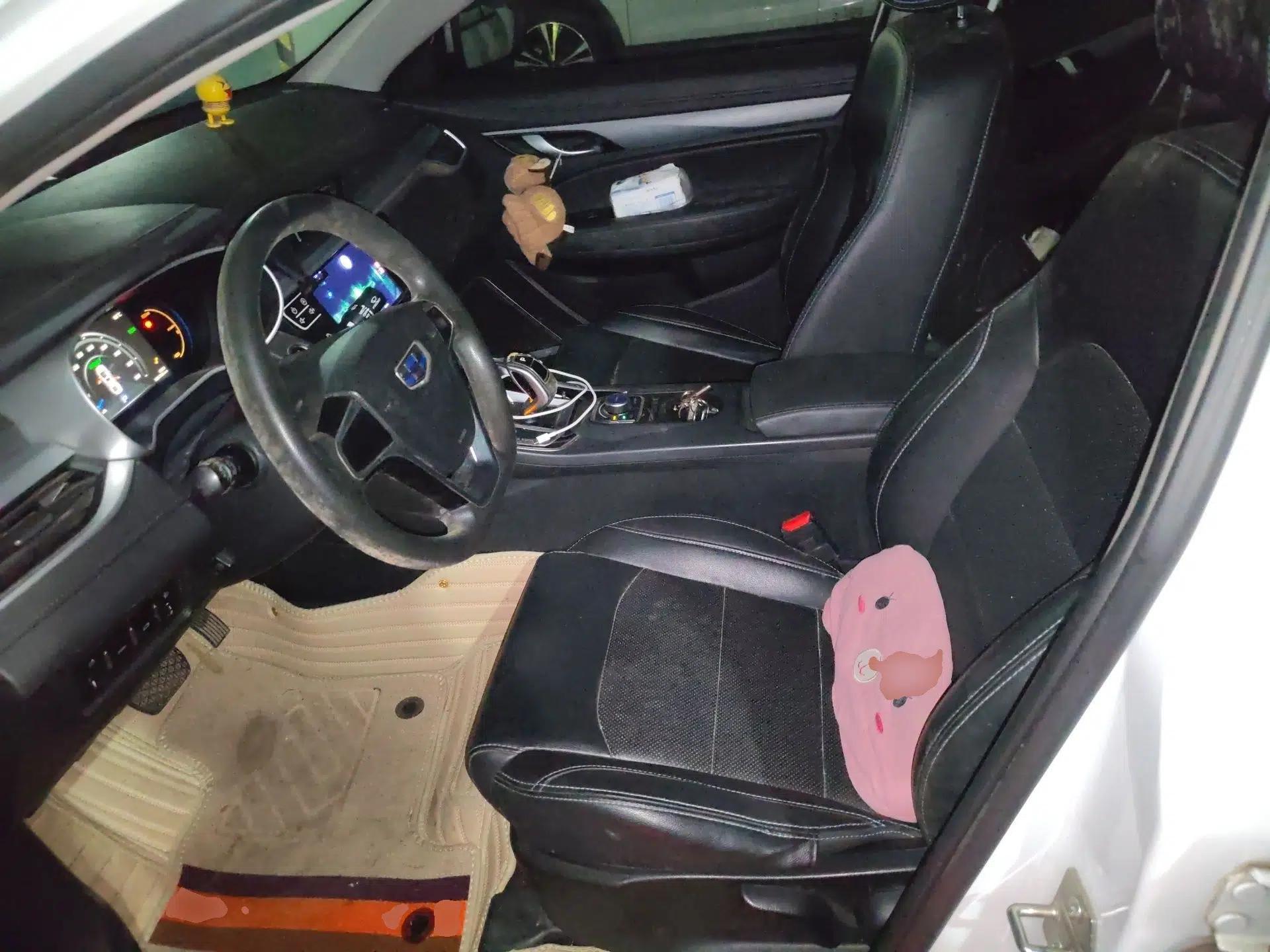 Geely Auto Emgrand New Energy 2018 EV450 Ambition Model — миниатюра 16