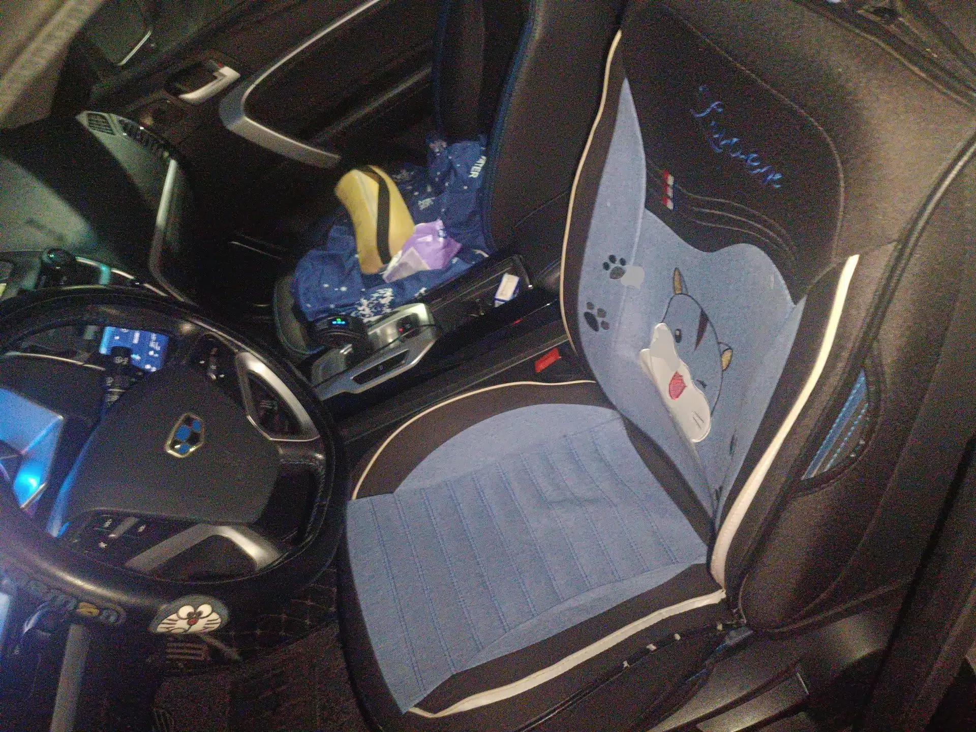 Geely Auto Emgrand New Energy 2016 EV Elite Model — миниатюра 16