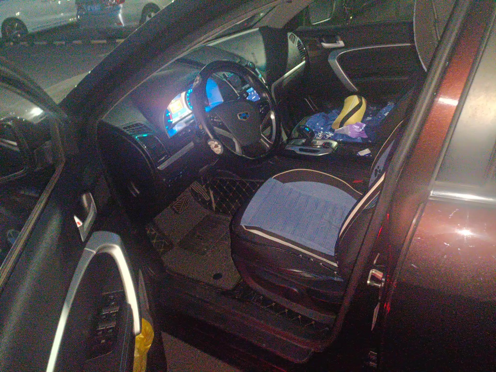 Geely Auto Emgrand New Energy 2016 EV Elite Model — миниатюра 17