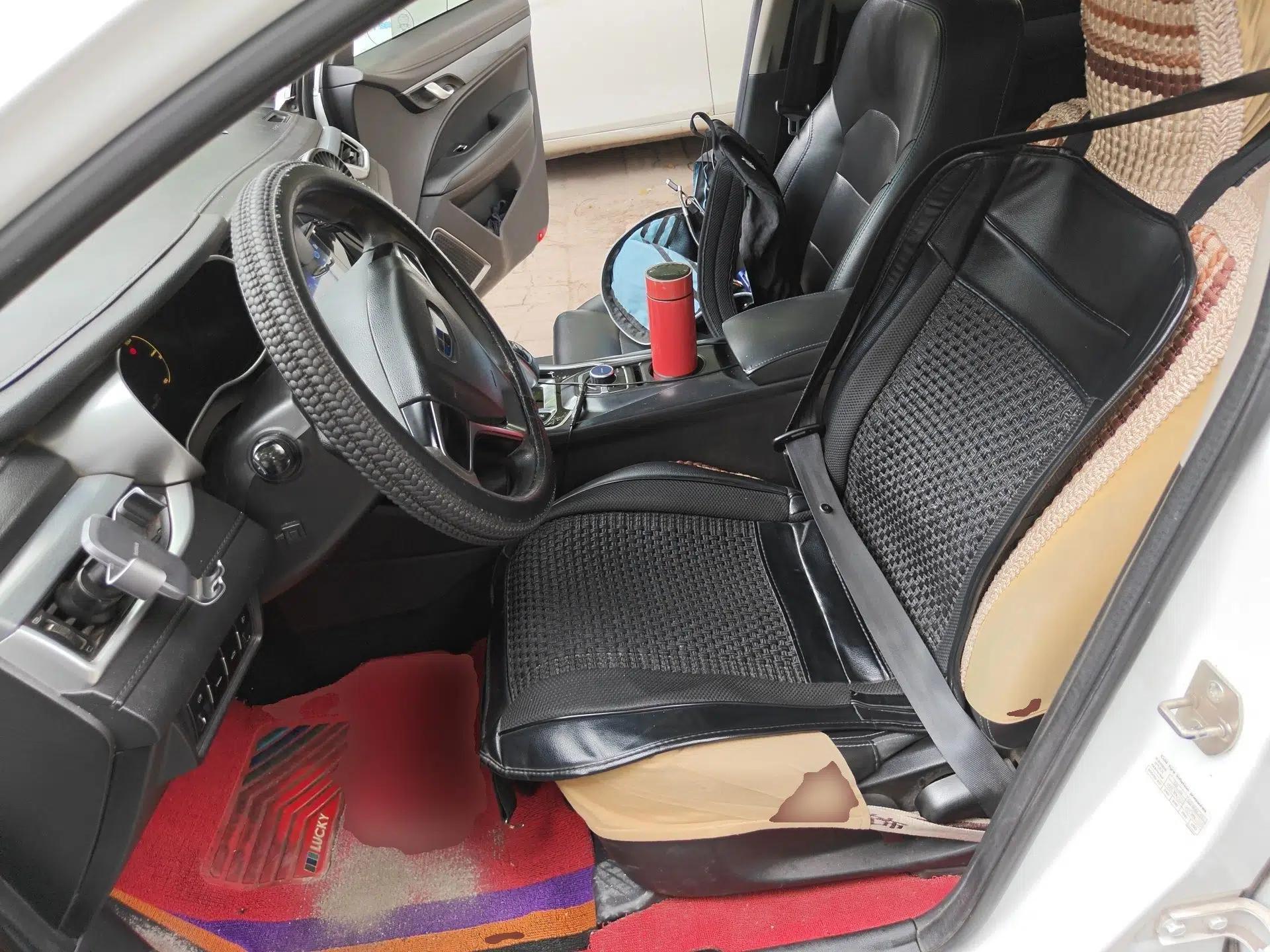 Geely Auto Emgrand New Energy 2018 EV450 Ambition Model — миниатюра 16