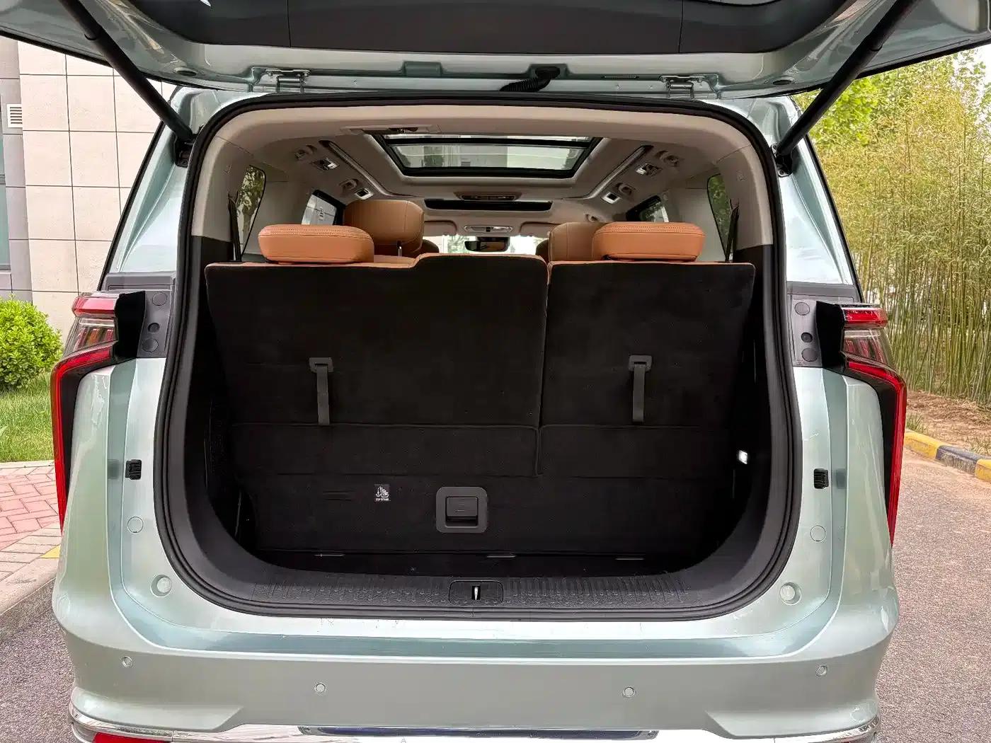 Everyone 9 2024 Super Hybrid Long Range Forest Edition 7-Seater — миниатюра 22