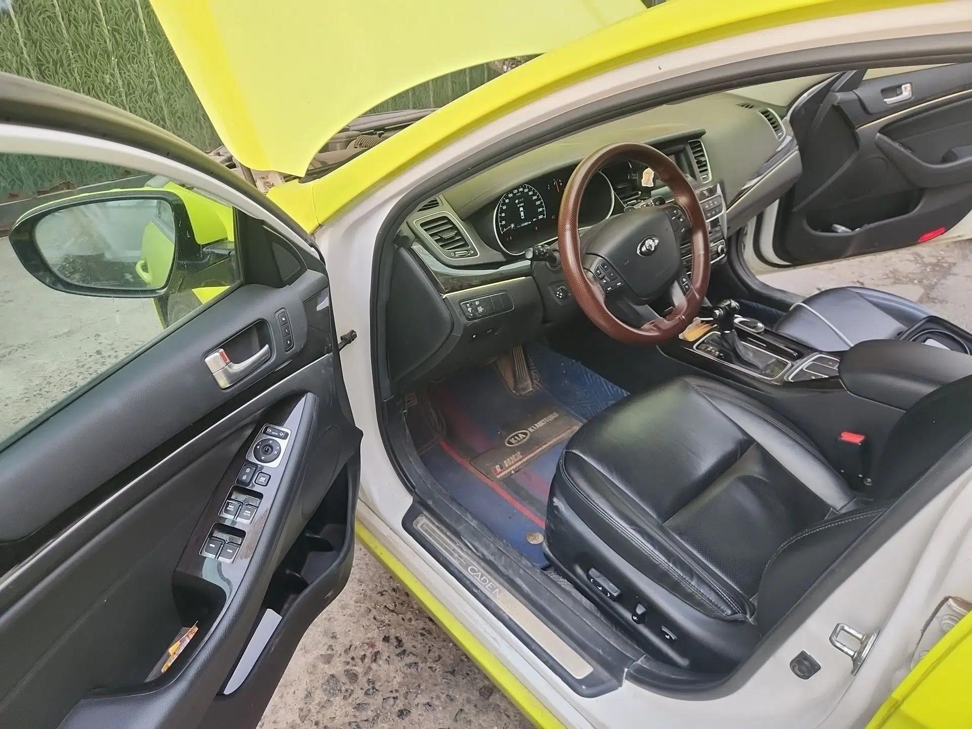 Kia Cadenza 2013 2.4L Business Sunroof Version China IV Standard — миниатюра 17