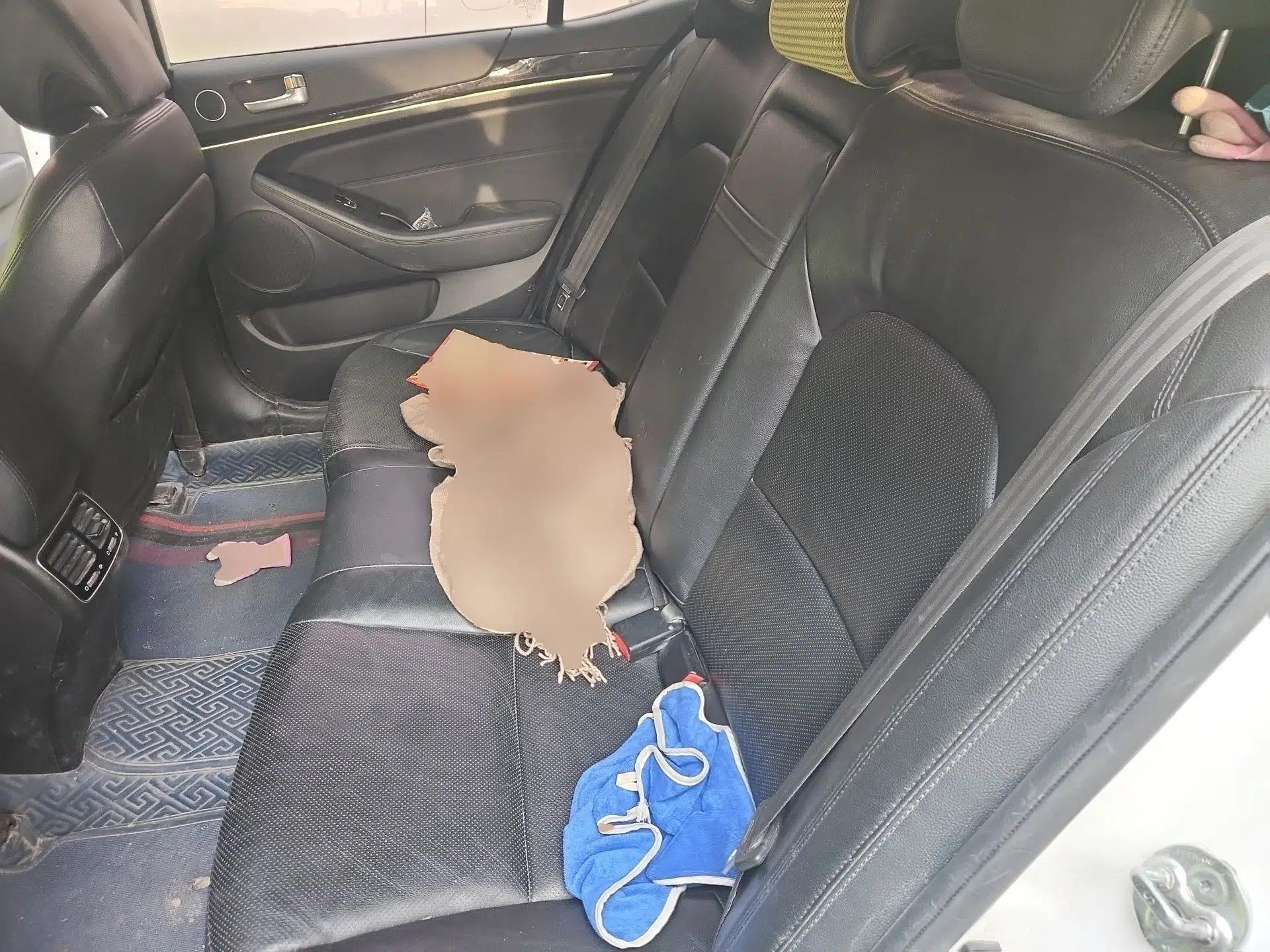 Kia Cadenza 2013 2.4L Business Sunroof Version China IV Standard — миниатюра 18