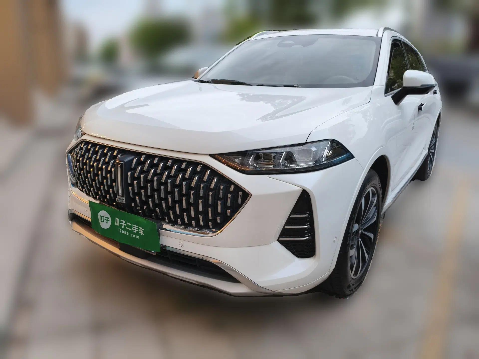Wey Mocha 2021 2.0T Two-Wheel-Drive Ultra-Strong Version — миниатюра 1