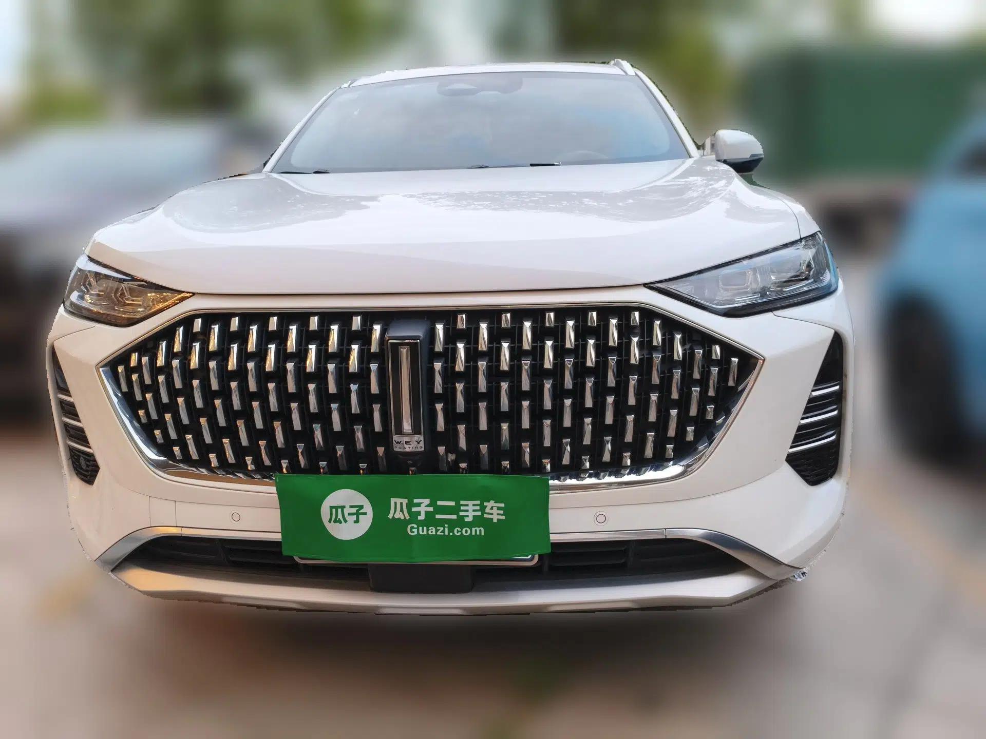 Wey Mocha 2021 2.0T Two-Wheel-Drive Ultra-Strong Version — миниатюра 2