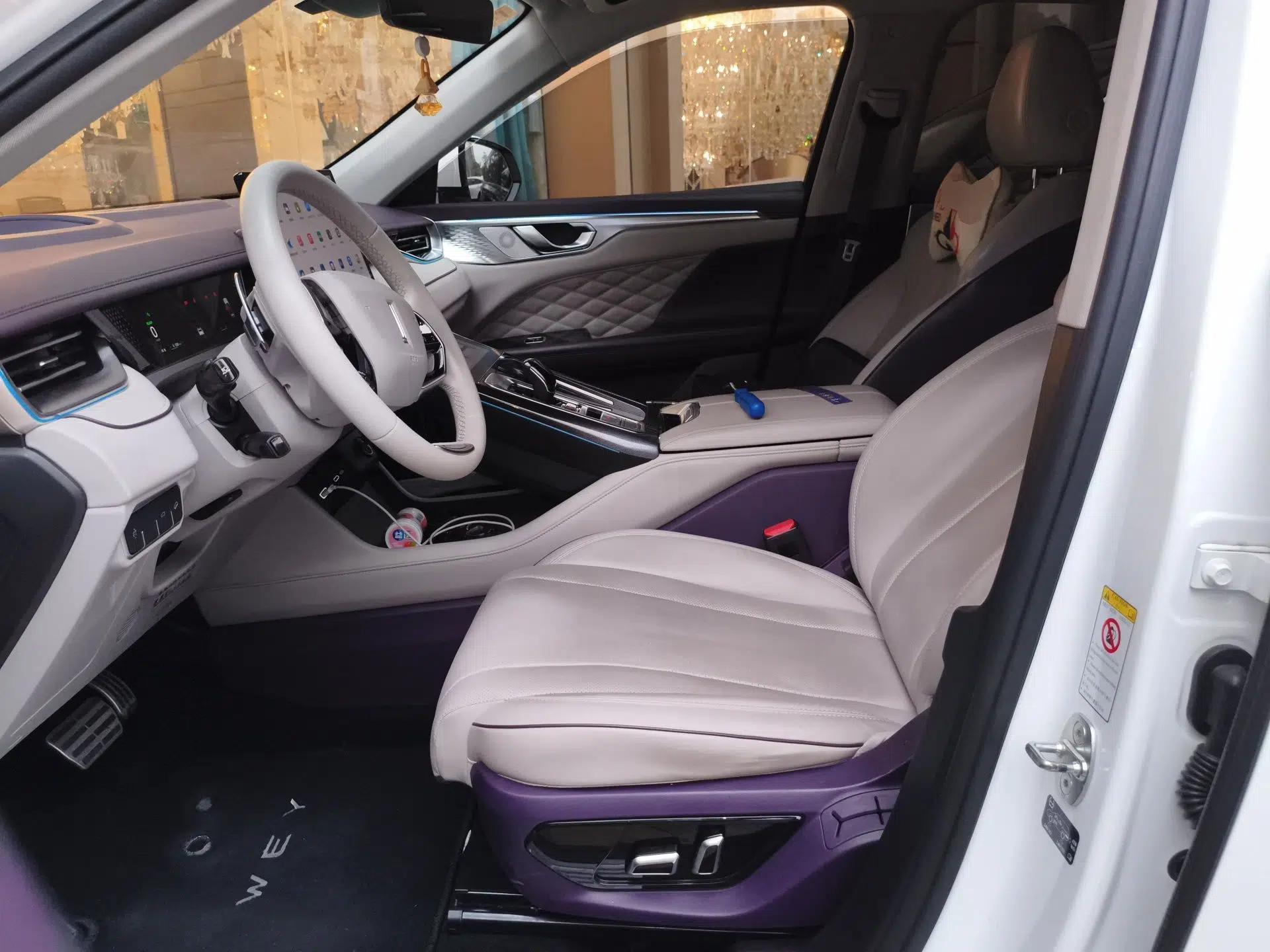 Wey Mocha 2021 2.0T Two-Wheel-Drive Ultra-Strong Version — миниатюра 16